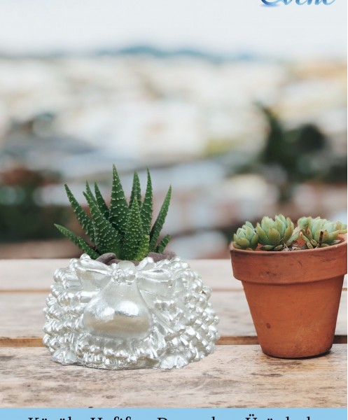Mini Çiçek Saksı Küçük Sukulent Gümüş Kaktüs Saksısı 3lü Set Koyun Model